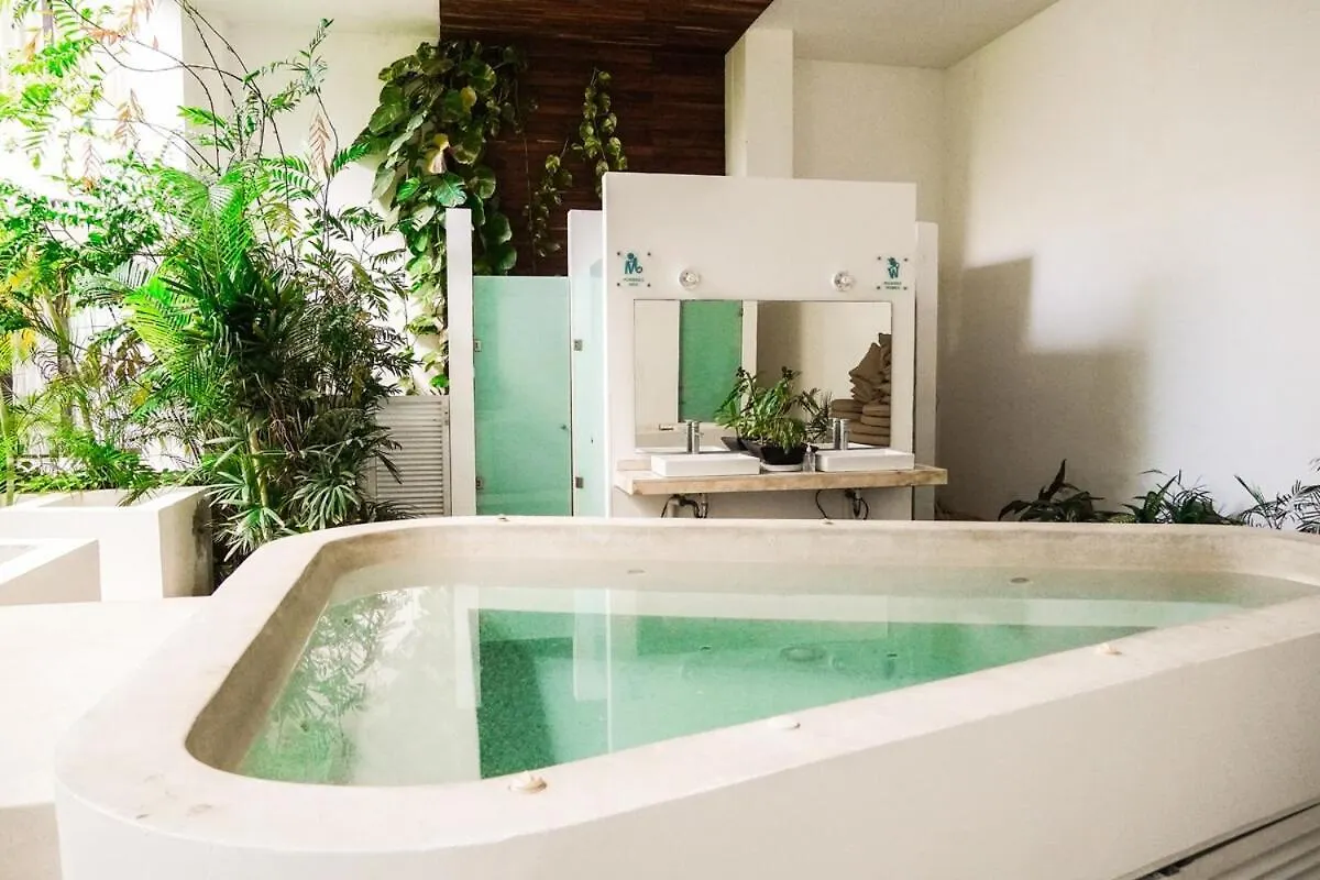 Appartamento Penthouse Well Located And Wifi 50Mb - Downtown Area Playa del Carmen