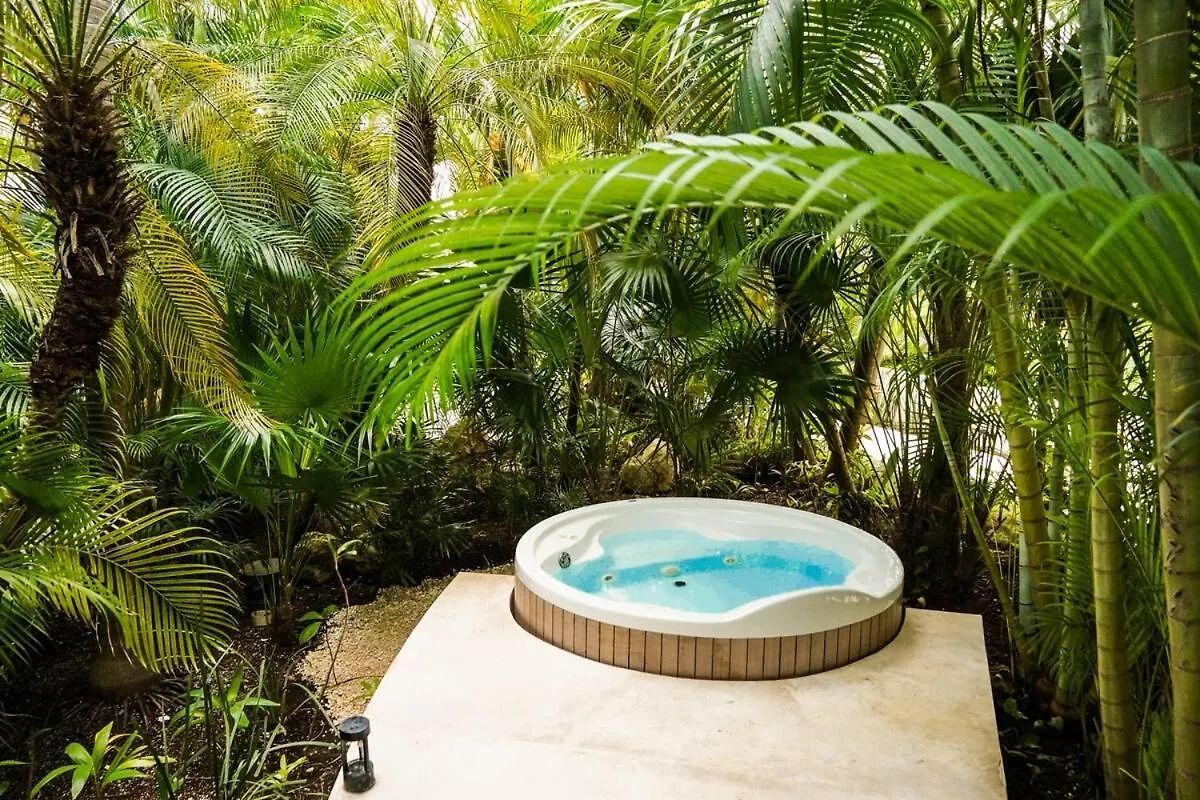 Appartamento Penthouse Well Located And Wifi 50Mb - Downtown Area Playa del Carmen 0*,